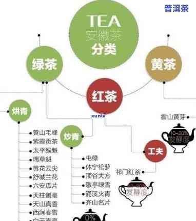 普洱茶的民间分类及其类型图片全解析