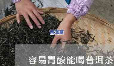 胃酸返流可以喝普洱茶吗-胃酸返流可以喝普洱茶吗女性