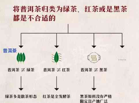 普洱是不是属于绿茶系列？探讨其分类归属