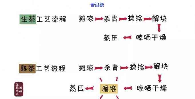 普洱茶依据加工工艺不同分为哪两种，深入熟悉普洱茶：按加工工艺分类的两种类型