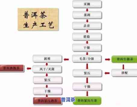 普洱茶依据加工工艺不同分为哪两种，深入熟悉普洱茶：按加工工艺分类的两种类型