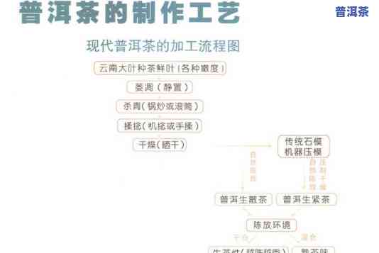 普洱茶依据加工工艺不同分为哪两种，深入熟悉普洱茶：按加工工艺分类的两种类型