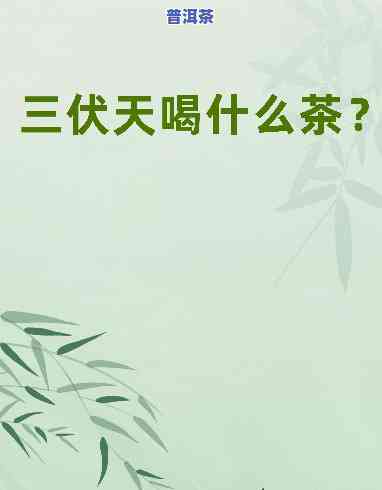 夏季喝伏茶好吗，伏天养生，夏日解暑——夏季喝伏茶的好处