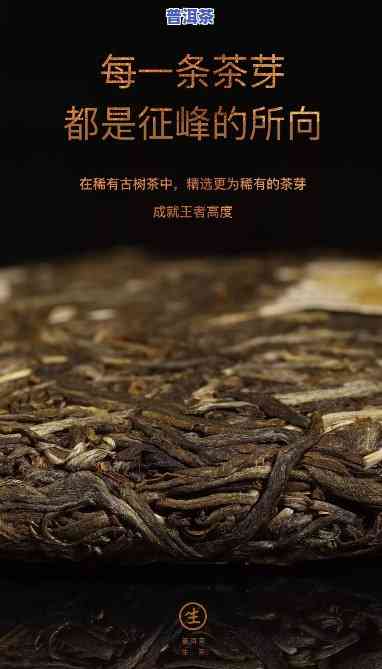 探究老班章茶高价起因：特别口感与稀有性