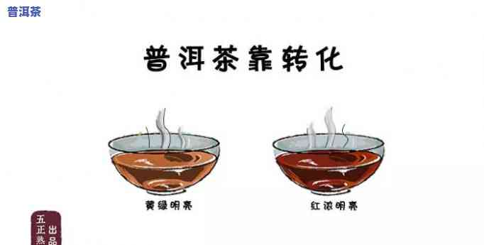 普洱茶的转换过程是什么-普洱茶的转换过程是什么样的