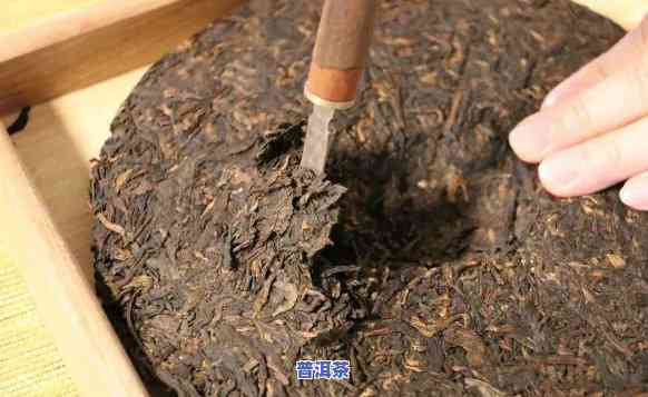 普洱茶的转换过程是什么-普洱茶的转换过程是什么样的