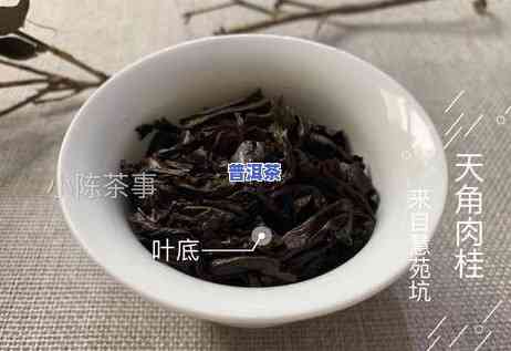 普洱茶温和还是岩茶温和好，普洱茶与岩茶：哪种更温和？