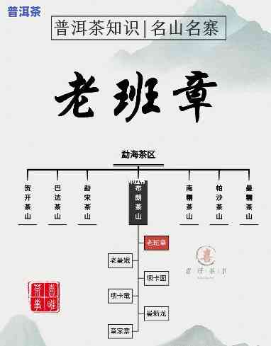 老班章来历，探秘老班章：探寻这款知名普洱茶的来历与故事