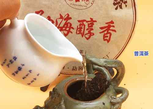 湖北老树普洱茶日常用法与用量，湖北老树普洱茶的正确日常饮用方法及适量推荐