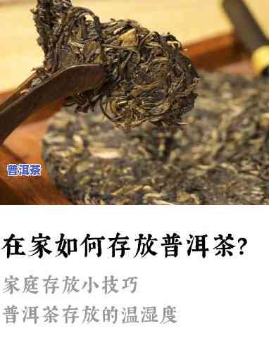 重庆古树普洱茶储存方法有哪些，探究重庆古树普洱茶的储存方法