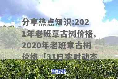 2021年老班章古树价格走势：对比2020年及纯料价格