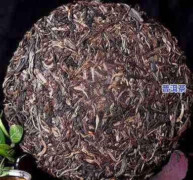 12年普洱茶价值详解视频