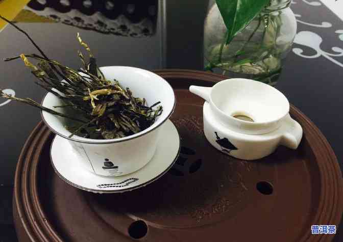 茶马世家品饮级普洱茶：价格表与产品评价全解析