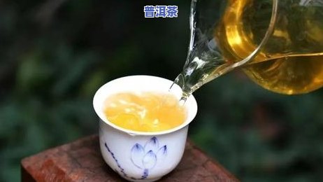 探究普洱茶苦茶：种类、分布与特点