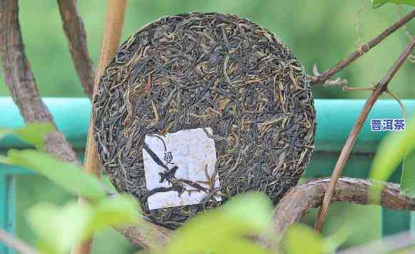 普洱茶熟茶散茶冲泡方法视频教程详细讲解