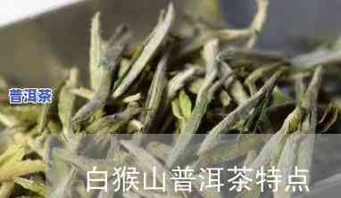 白猴山普洱茶价格及图片，白猴山普洱茶：价格与图片全览