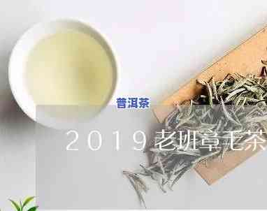 2019年老班章毛茶价格及毛料价格全览