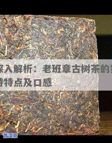 探究陈年老班章茶的特别特点与口感