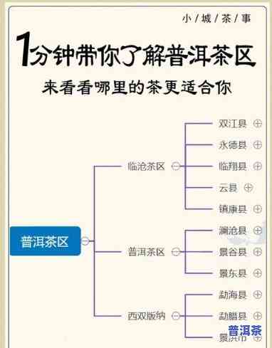 普洱茶属于什么经营范围，揭秘普洱茶的经营范围，你熟悉多少？