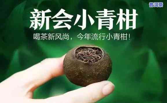 云南普洱茶小青柑：价格与饮用方法全解析