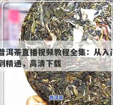 普洱茶制茶直播视频教学-普洱茶制茶直播视频教学大全