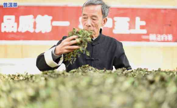 普洱茶大师刘青简介-普洱茶大师刘青简介图片