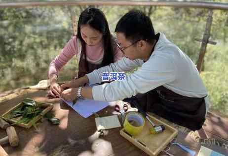 中华牌普洱茶设计师是谁呀，探秘普洱茶设计：揭秘中华牌普洱茶的设计师是谁？