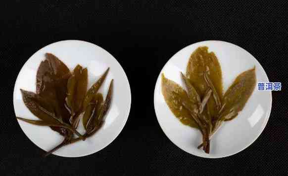 普洱茶转化的阶段有哪些特征，探究普洱茶转化阶段的特征：从生茶到老茶的变化过程