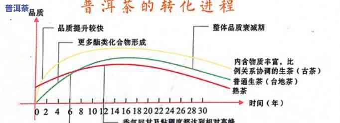 普洱茶的转化周期是几年？从新茶到老茶的过程解析