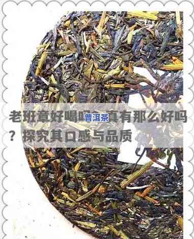 老班章春茶好吗，探究老班章春茶的品质：是不是值得期待？