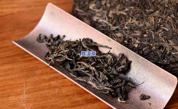 四川产普洱茶吗？探究四川与普洱茶的不解之缘