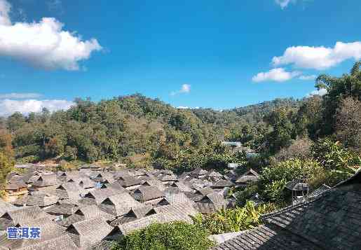 景迈山普洱哪一年好-景迈山普洱怎么样