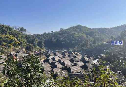 景迈山普洱哪一年好-景迈山普洱怎么样