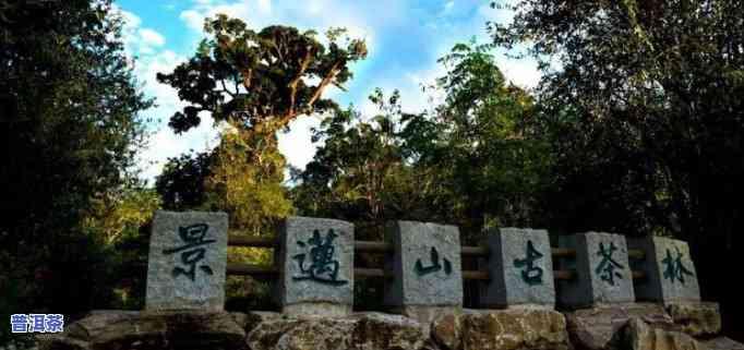 景迈山普洱哪一年好-景迈山普洱怎么样