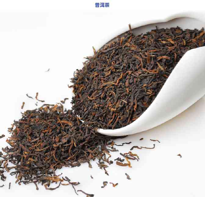 普洱茶叶最贵，揭秘茶叶市场：普洱茶叶为何被誉为最贵的存在？