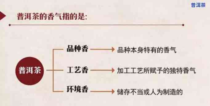 普洱茶哪种香型好，探讨普洱茶的香型：哪种更好？