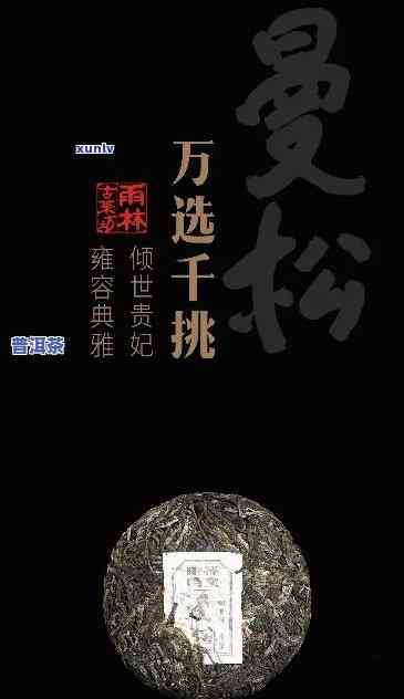 全面解析：曼松普洱茶的功效、作用及其适用人群