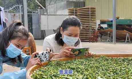 晚上怎么晒普洱茶饼好呢，夜晚怎样正确晾晒普洱茶饼？关键步骤和留意事项