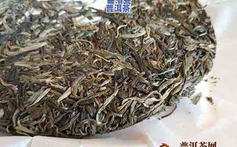 大马蹄普洱茶价格多少钱一斤，【2023最新】大马蹄普洱茶价格表，多少钱一斤？