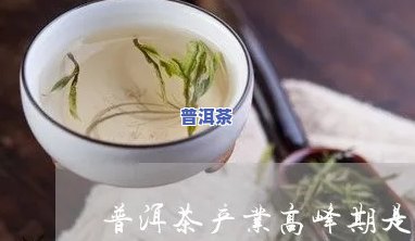 普洱茶产业高峰期时间表-普洱茶产业高峰期时间表最新