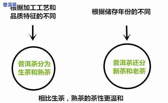 普洱茶是热性或是凉性的吗，普洱茶：它是热性还是凉性？