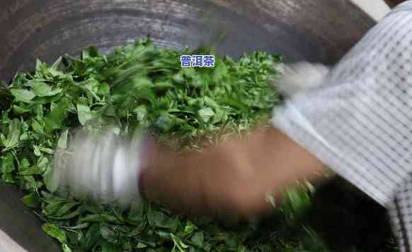 普洱茶制作：什么茶最适合？详解视频与图片