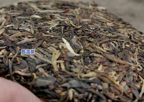 比较好的普洱茶饼推荐：品质优、口感佳的一览