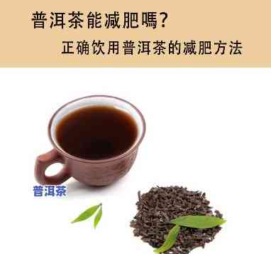 上午喝一杯普洱茶可以吗减肥，喝普洱茶能减肥吗？看看专家怎么说！