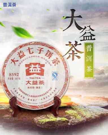 大益普洱茶饼：煮着喝还是泡着好？