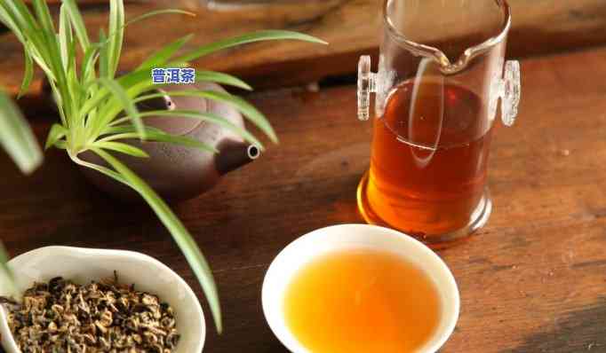 10克普洱茶是多少斤茶水？计算方法与换算关系全解析