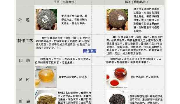 哪个地方的普洱茶最多？图片全览与价格对比