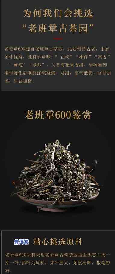 古树春茶老班章价格-2021年春古树老班章行情