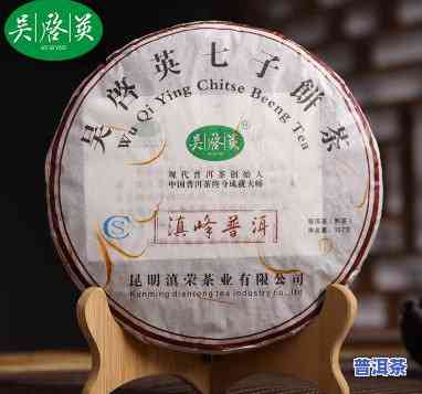 吴启英普洱七子茶饼-吴启英普洱七子茶饼茶中之花