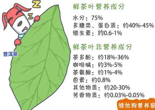 普洱茶含有维生素吗？详细解析普洱茶的营养成分